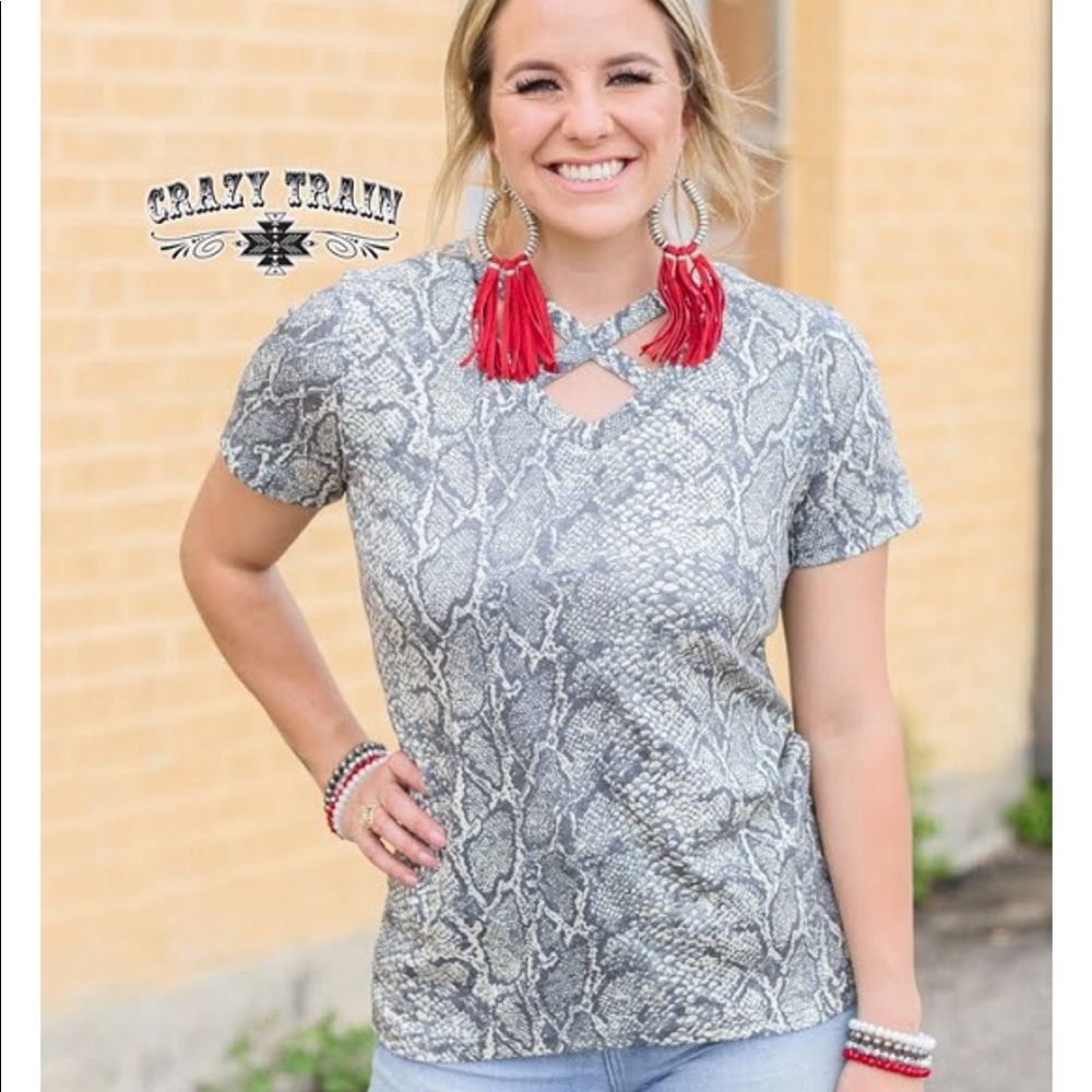 Crazy Train Python Trendsetter - image 1